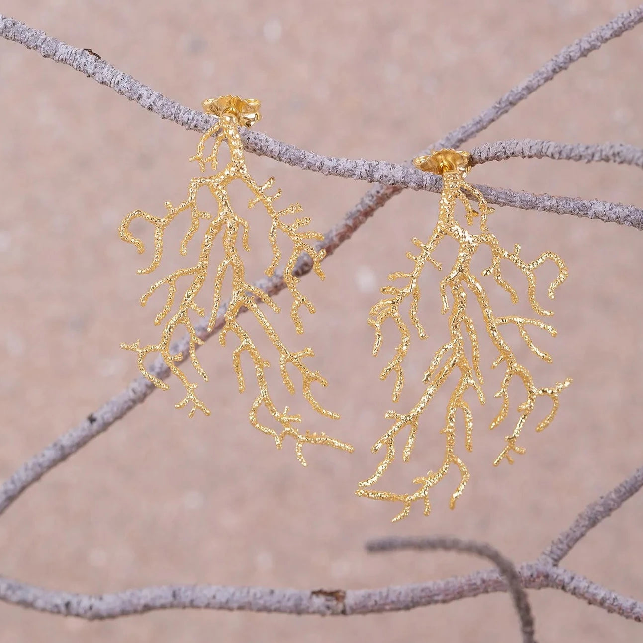 Pendientes Gorgonia grandes bañados en Oro