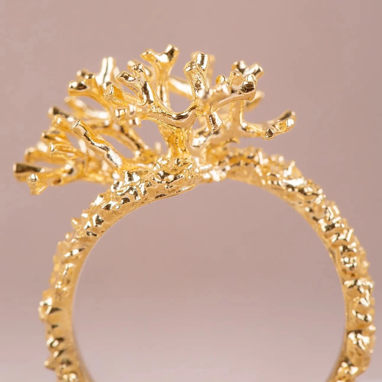 Detalles en macro del Anillo de Coralina bañado en Oro.