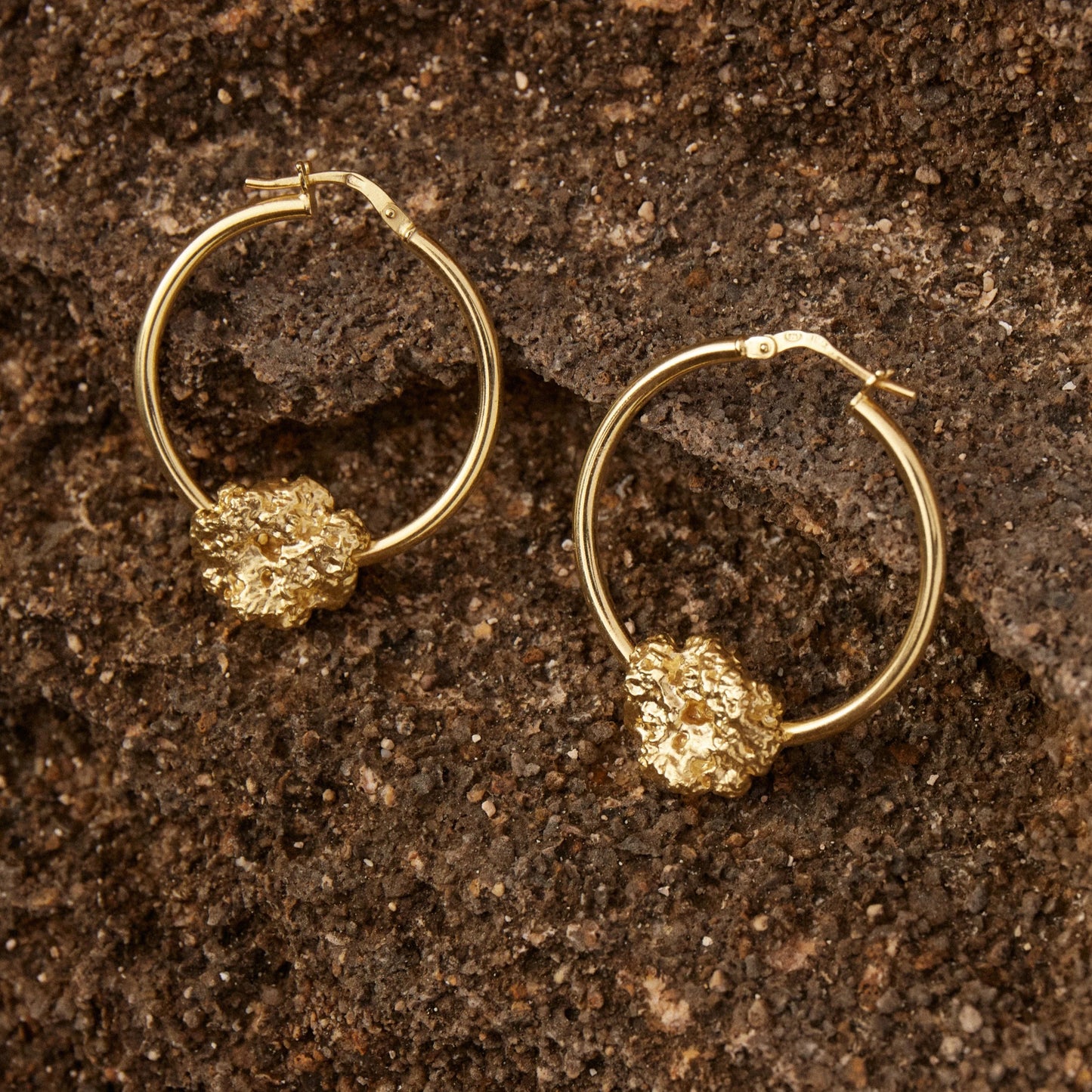 Par de Aros de Esponja bañados en Oro contrastando con la roca marina en tono más oscuro.