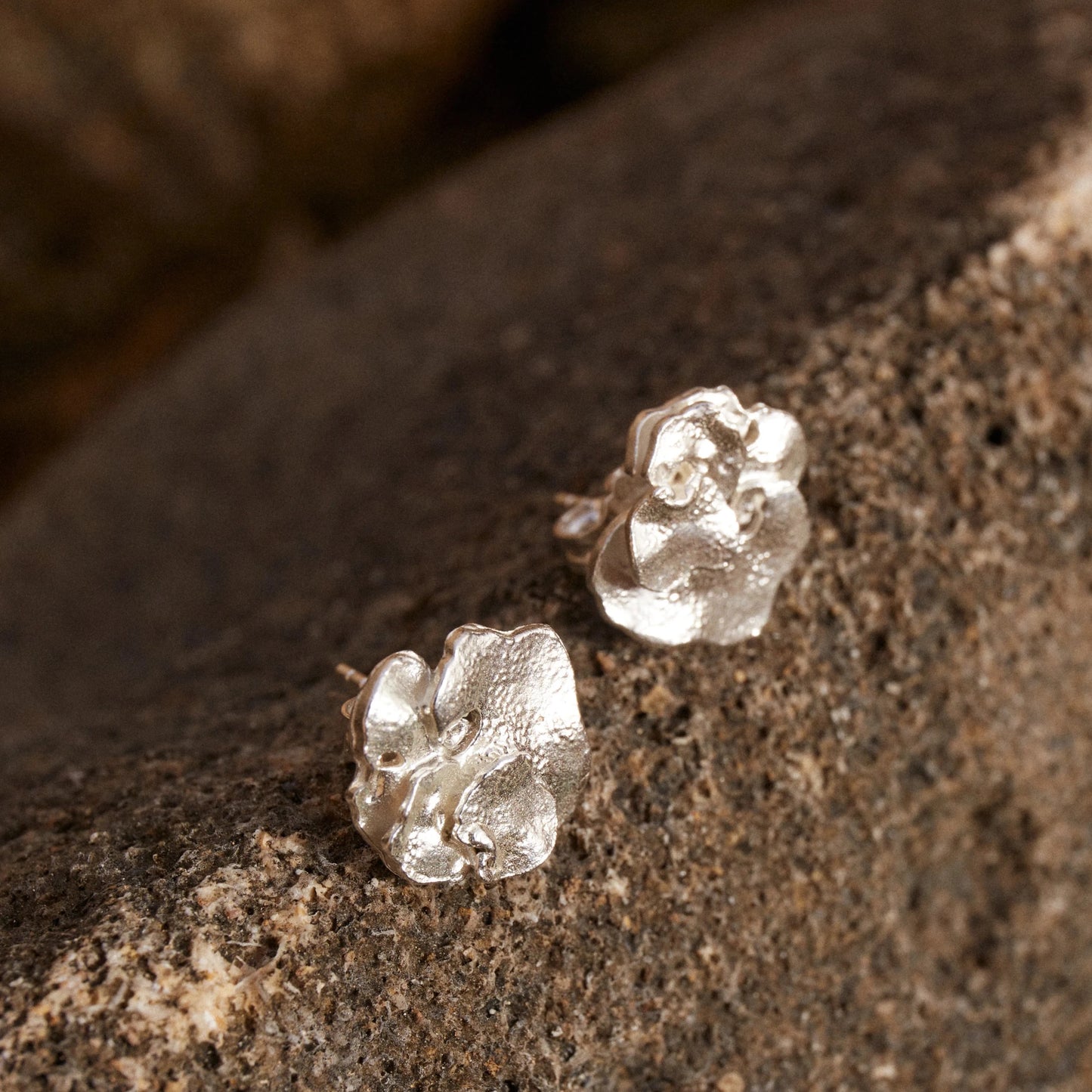Pendientes de Botón Pétalo en Plata sobre roca oscura, se pueden apreciar los detalles de los pendientes.