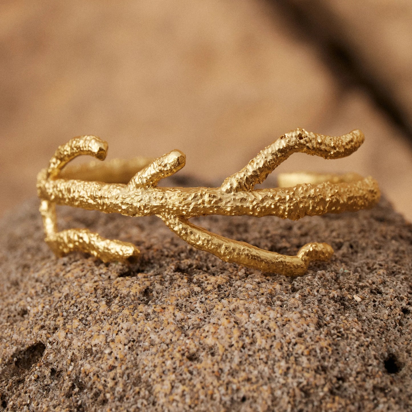 Detalles en Macro del brazalete de Eunicella bañado en Oro sobre roca oscura.