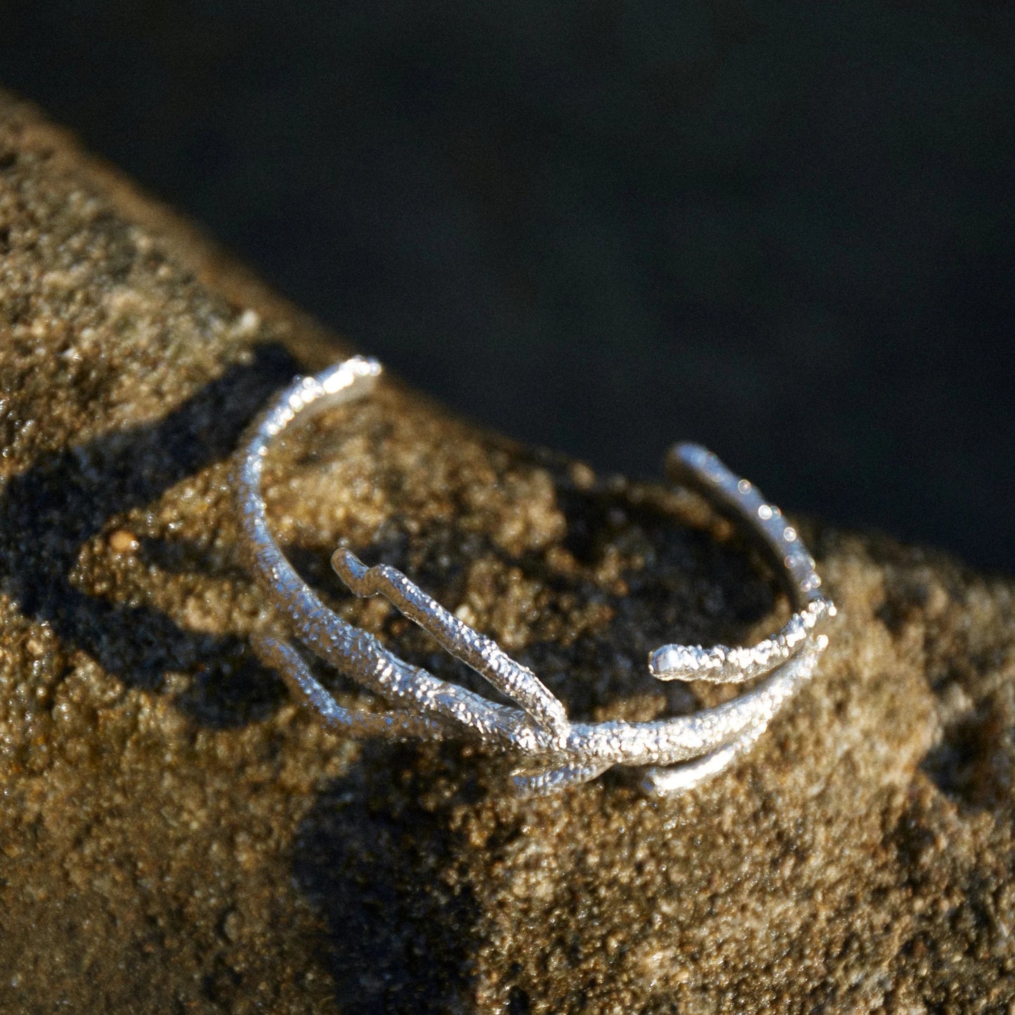 Detalles en macro del Brazalete Eunicella en Plata sobre roca.