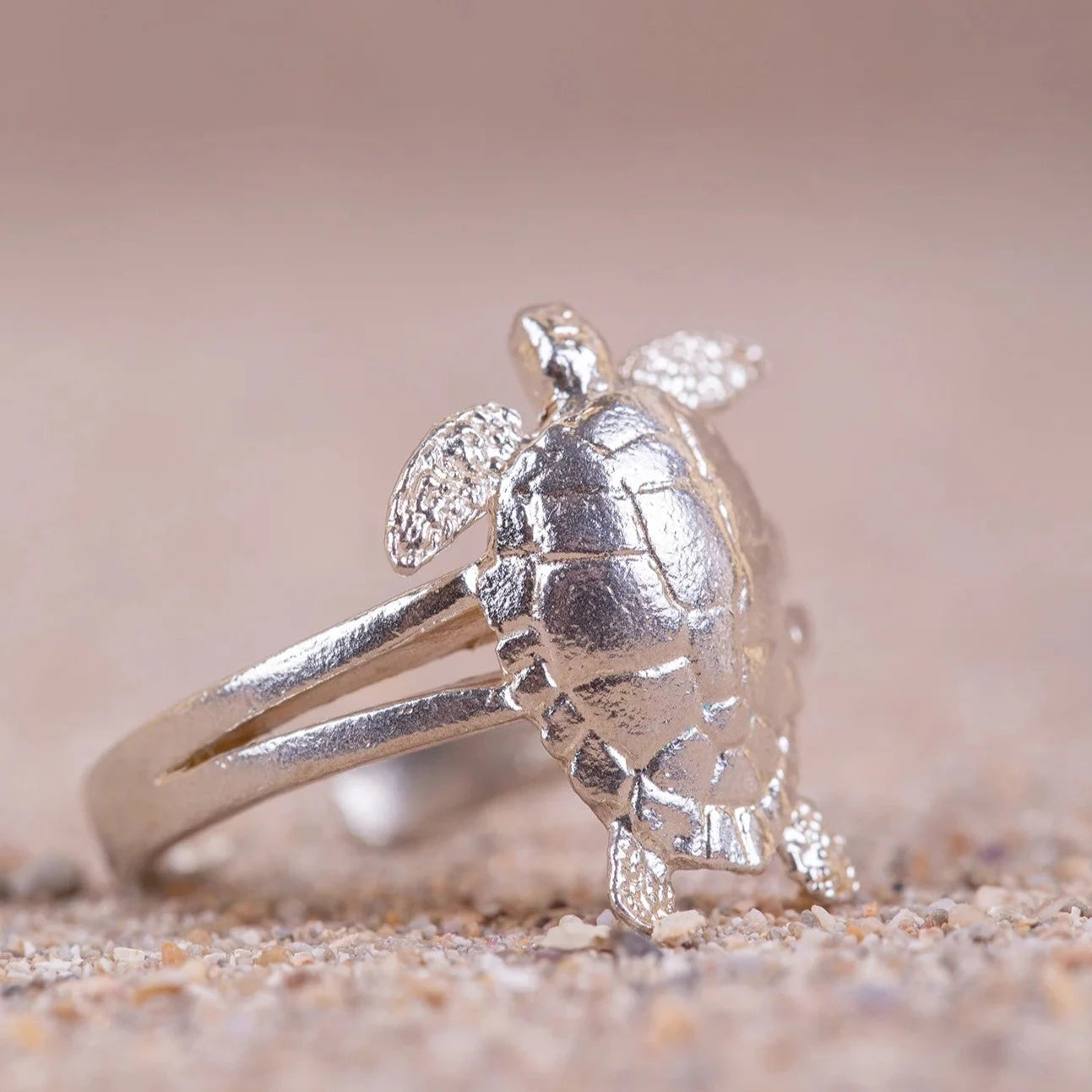 Anillo de Tortuga (Cayume) en Plata de perfil con fondo de arena.