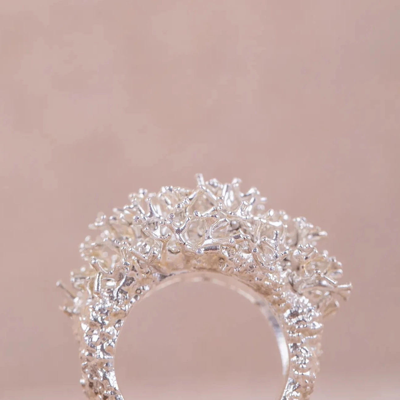 Detalles en macro del Anillo grande de Coralina en Plata.