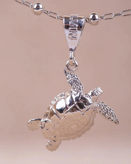Colgante Cayume (Tortuga) en  Plata con fondo beige.