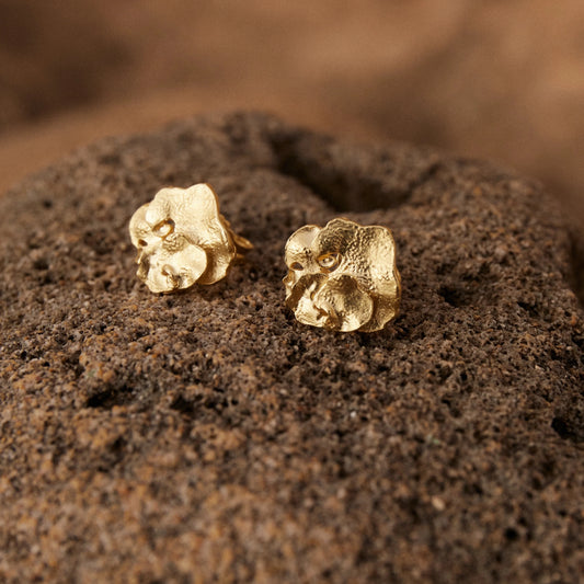 Pendientes de Botón Pétalo bañados en Oro sobre roca arenosa oscura.
