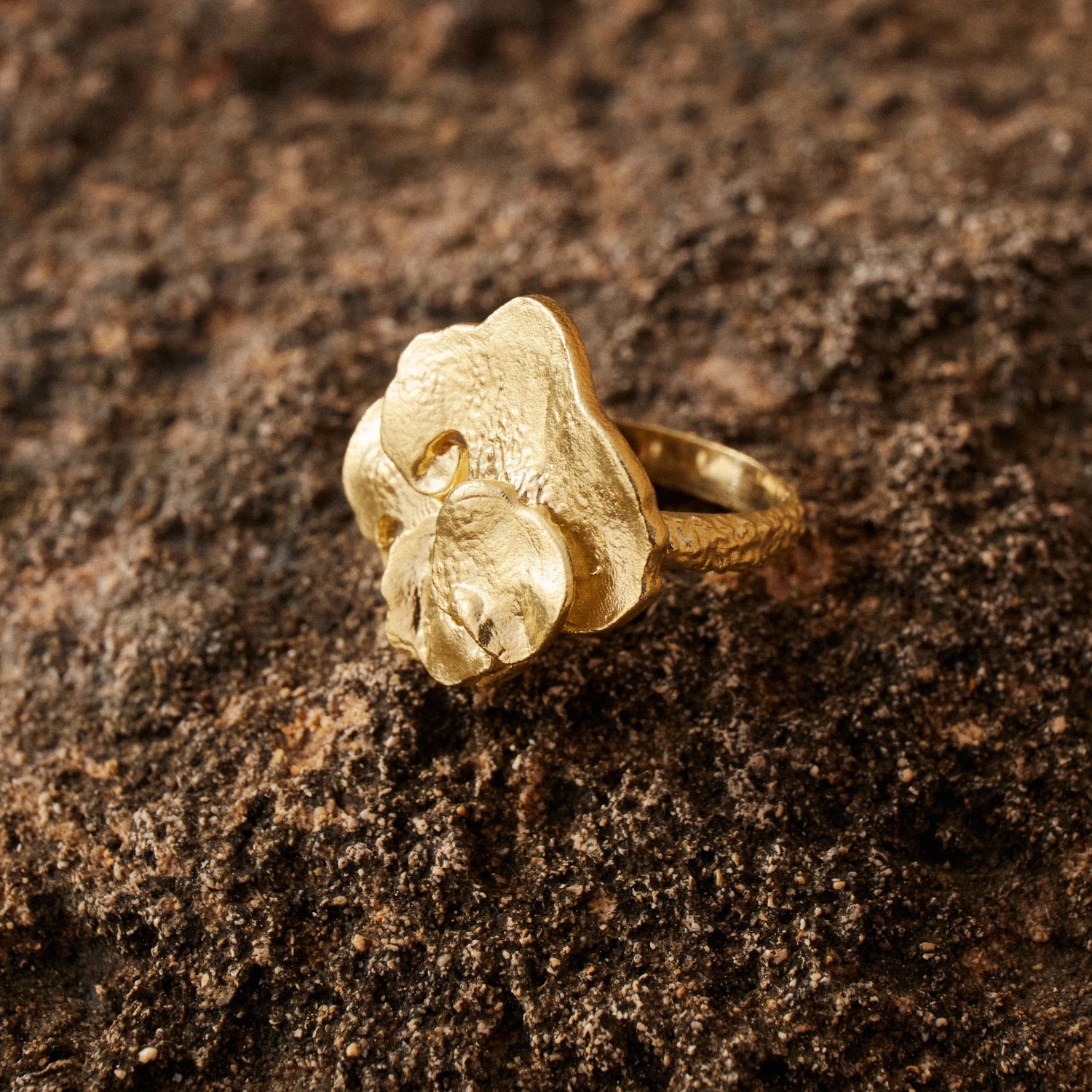 Anillo Pétalo bañado en Oro sobre roca arenosa, detalles del anillo en macro.