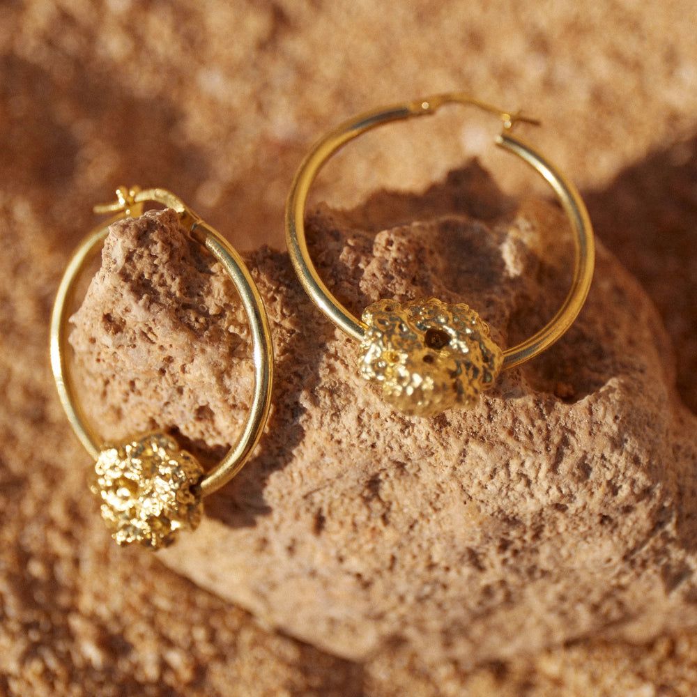 Aros de Esponja bañados en Oro posados sobre una roca de mar.