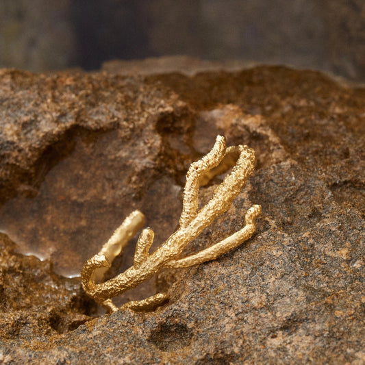 Detalles en macro del brazalete de Eunicella bañado en Oro sobre agua y roca oscura.