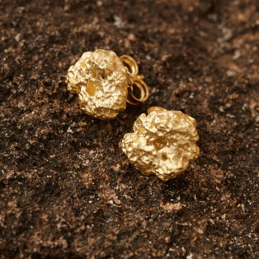 Pendientes Botón Esponja bañados en Oro posados sobre roca marina con tono oscuro, detalles en macro.