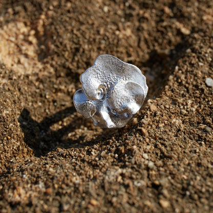Detalles en macro del Anillo de Pétalo en Plata sobre roca arenosa.