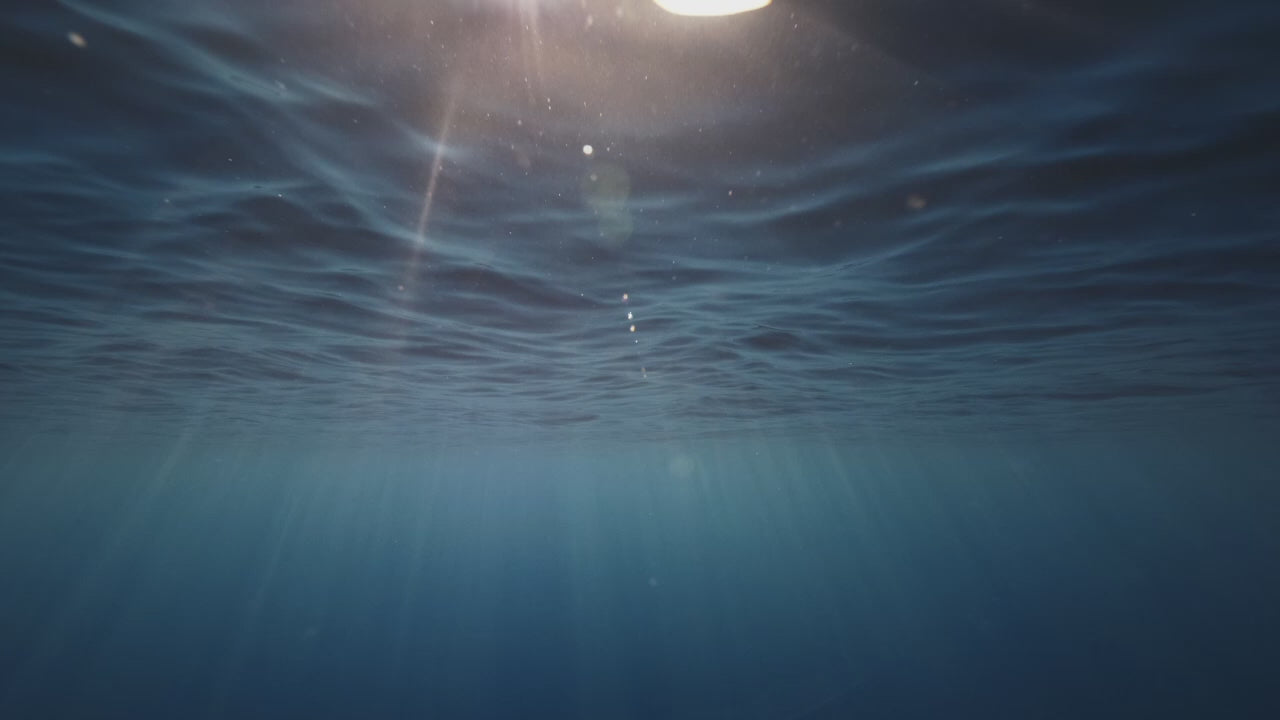 Cargar video: Video mostrando el proceso de elaboración de las joyas de Coralviu